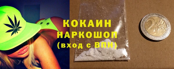 шишки Алзамай
