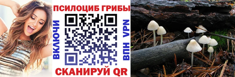 Галлюциногенные грибы GOLDEN TEACHER  Нелидово 
